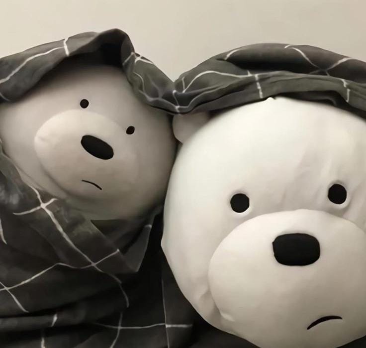 biwa🧸 tweet media