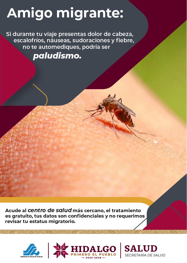 DeTlanalapa's tweet photo. El paludismo se encuentra activa, sigue estas recomendaciones y cuidate. #PrimeroTuSalud https://t.co/wtS1WO9HmS