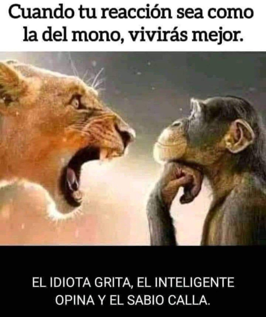 Escuela de Vida (@escueladevida21) on Twitter photo 