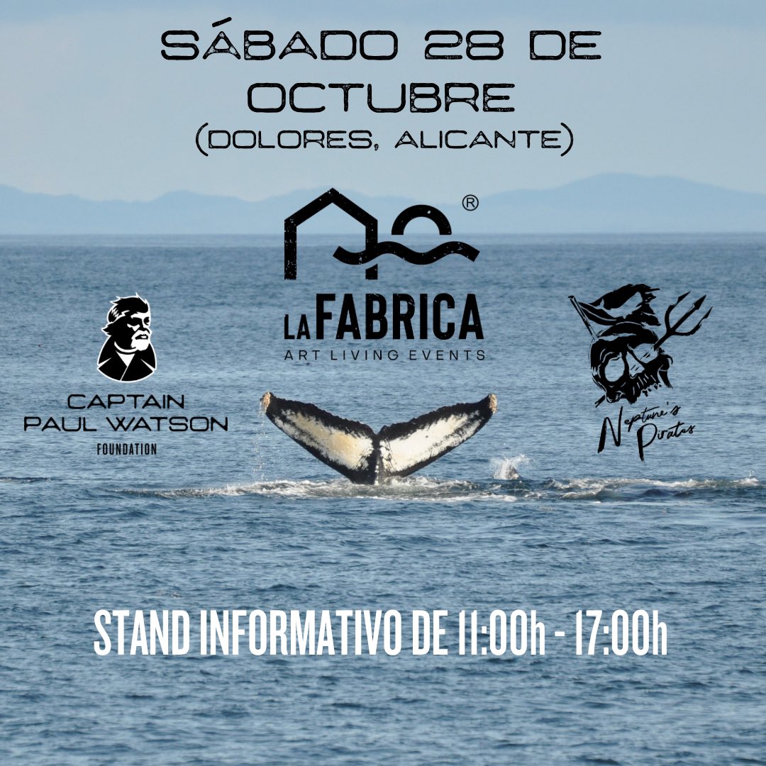 Captain Paul Watson Foundation SPAIN tweet media