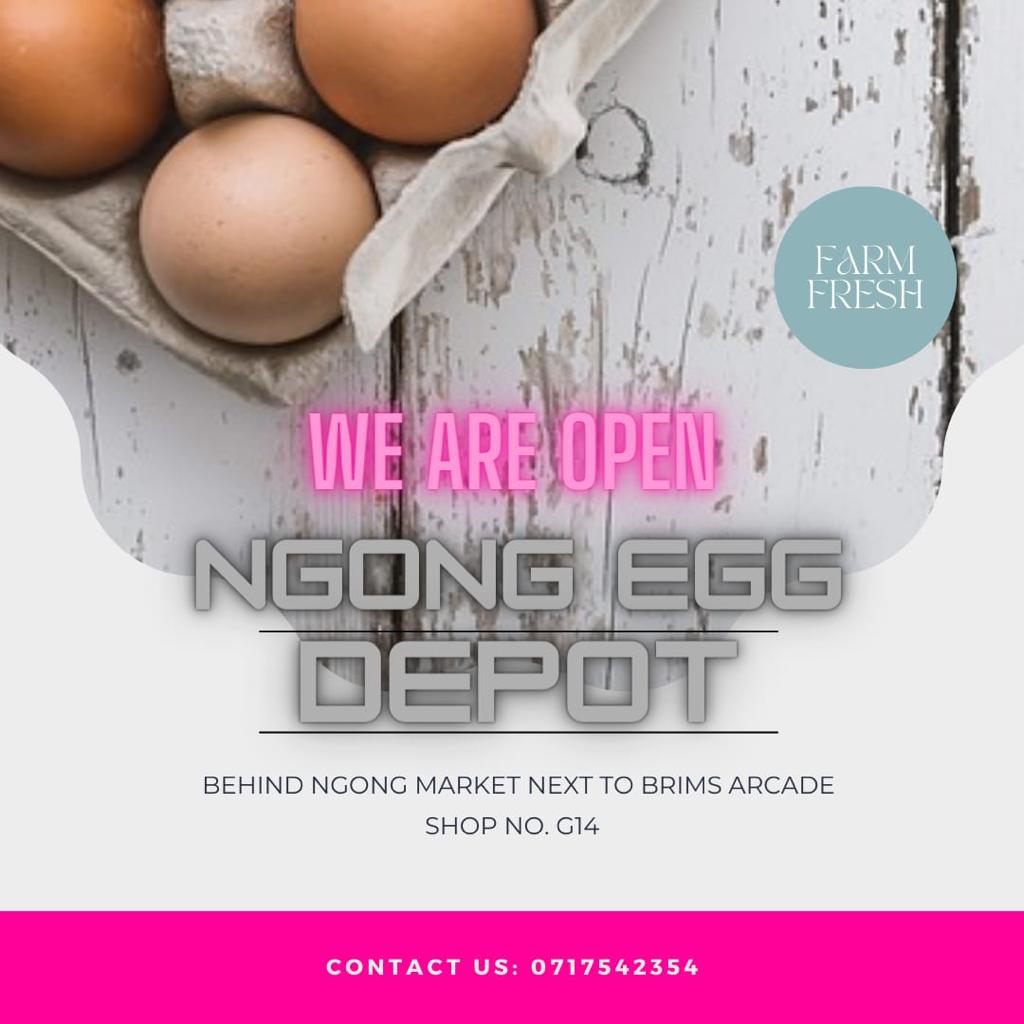 Get the most affordable eggs and in bulk at Ngong eggs depot. Contact them today!
#RobisearchFreeMarketDay 
JoinRobisearch XSpaceLeo
Promote Bizna NaRobisearch