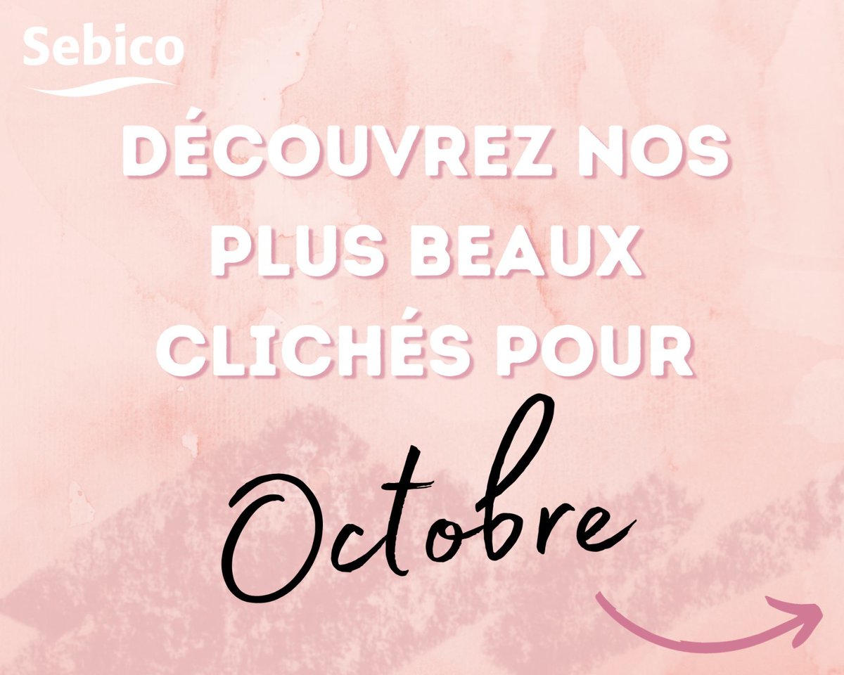 @GroupeSebico tweet media