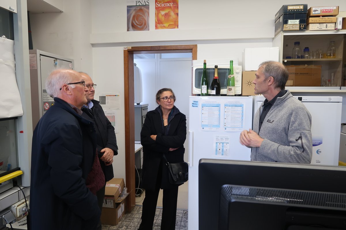 INRAE_Colmar's tweet photo. 📷26/10 : Visite de Dominique Grevey et Isabelle Caillard, de la Direction de l'Enseignement Supérieur, des Sites et de l'Europe (DESSE) @INRAE_France sur le Centre @INRAE_Colmar, présentation des 4 unités @SvqvUmr @umr_lae #UMR_GESTE et #UEAV et échanges avec 2 jeunes chercheurs https://t.co/4eodIXtH2q