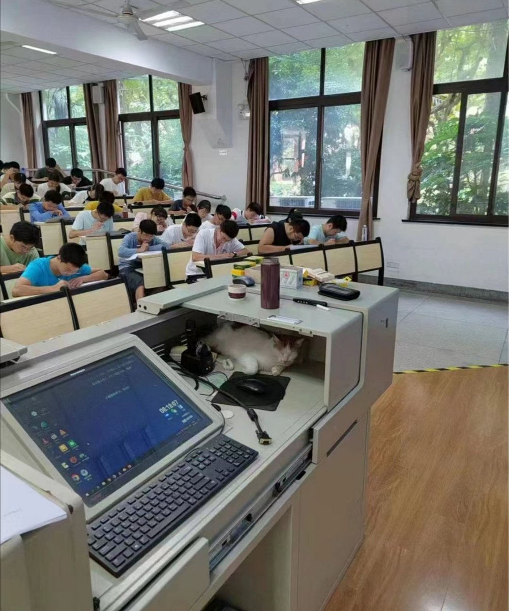 sociocat.xyz tweet media