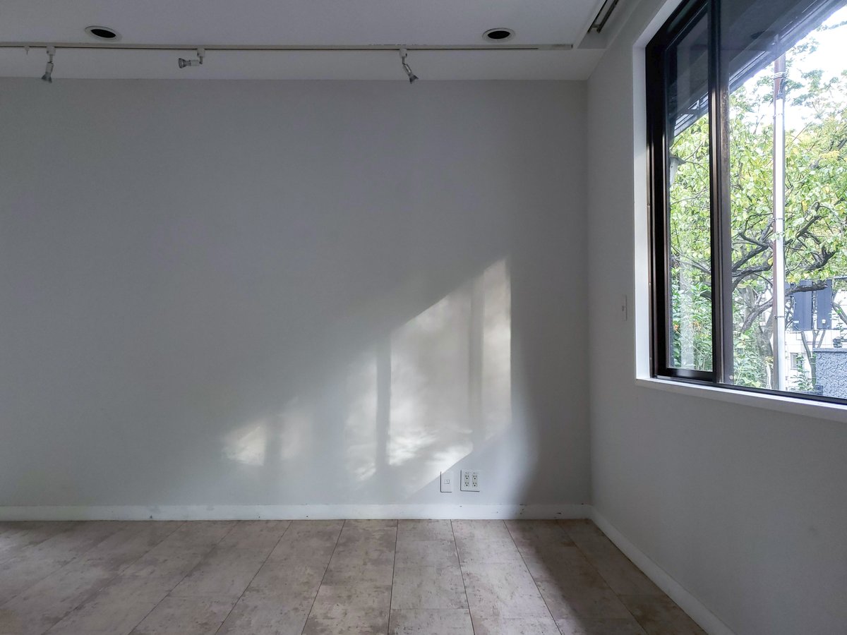 Studio TERRANOVA | 代々木上原の自然光スタジオ tweet media