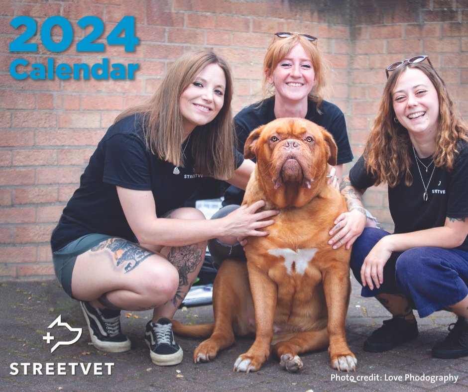 IVC Evidensia UK tweet media