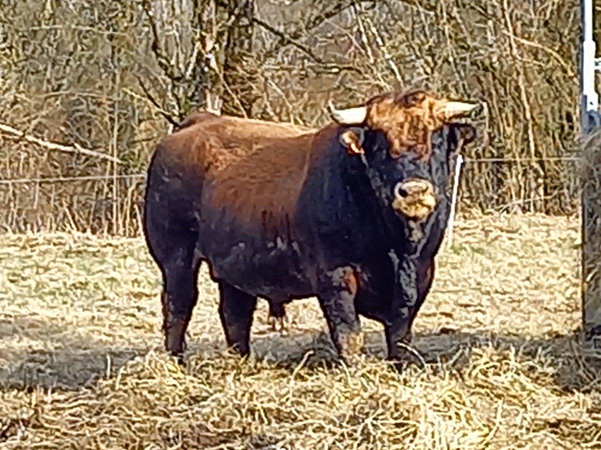 Chiche??
#RudyKissMyAss 
#Rudyrendslargent