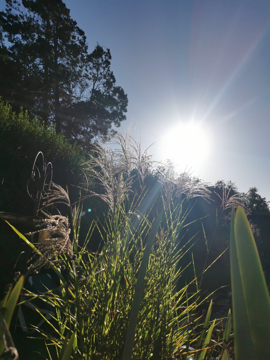 Lucy Ford tweet media