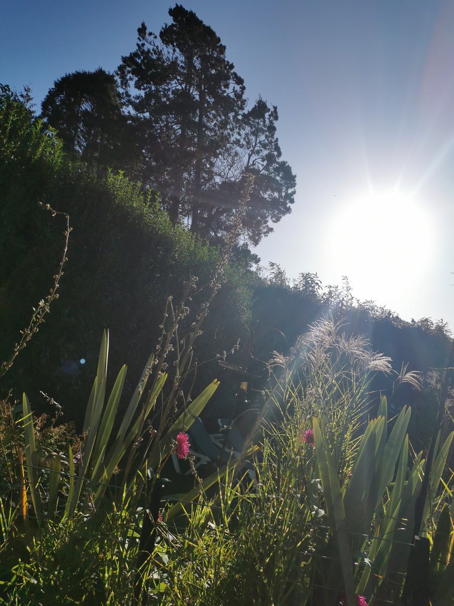 Lucy Ford tweet media