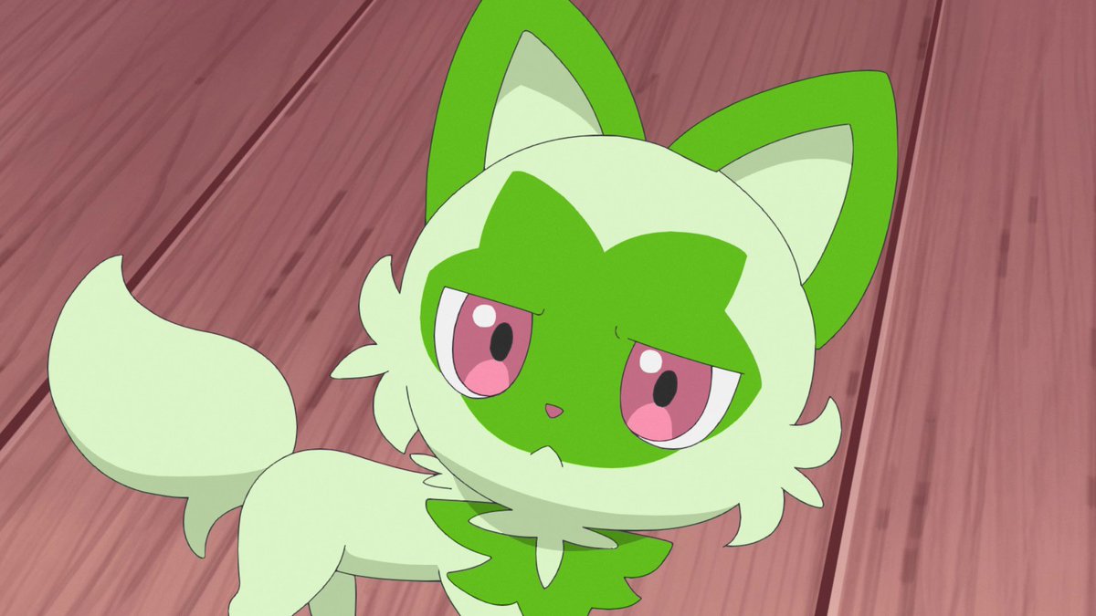 アニポケ #anipoke テラパゴス探し中ニァオハに嫉妬されて ニャオハ