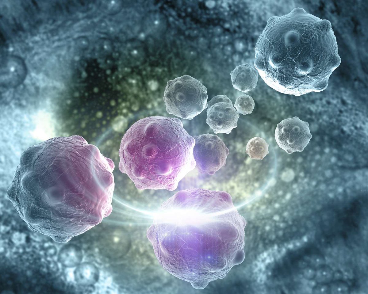 JKelly_iMP's tweet photo. @elonmusk help us change the science 
#science 
#defeatcancer 
#cancer https://t.co/Fp8wRPTzze
