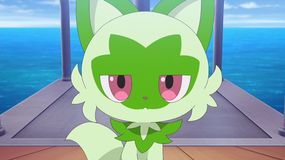 ニャオハさん、ツンデレww #アニポケ #anipoke #LikoRoy26