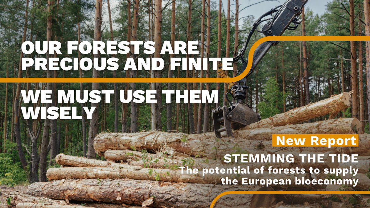 Industries are looking to replace everything from plastic to concrete with biomass alternatives, thereby increasing wood demand.
Together with <a href="/denkhausbremen/">denkhausbremen</a> we investigate the impact on forests and what a sustainable shift to a #bioeconomy can look like: fern.org/publications-i…