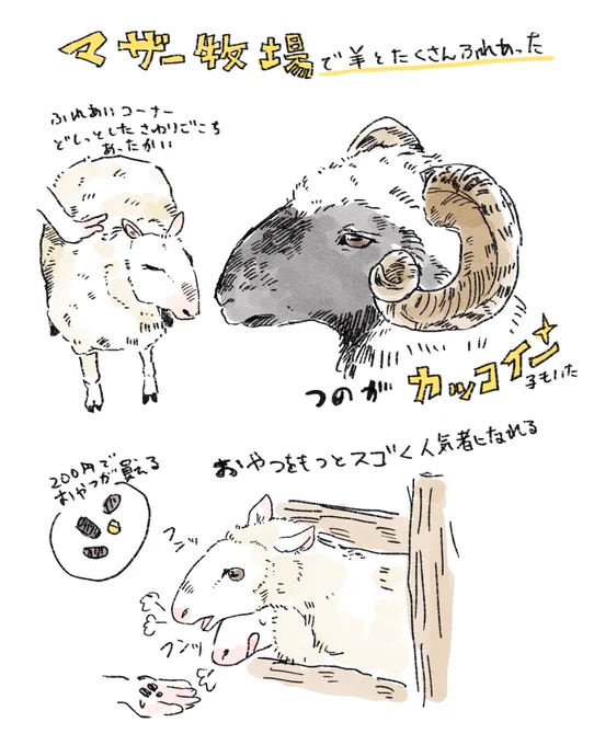 マザー牧場に行って羊充してきたという落書き🐏
他にもコブタちゃんレースとか色々楽しかった…景色も最高だった…また行きたい 