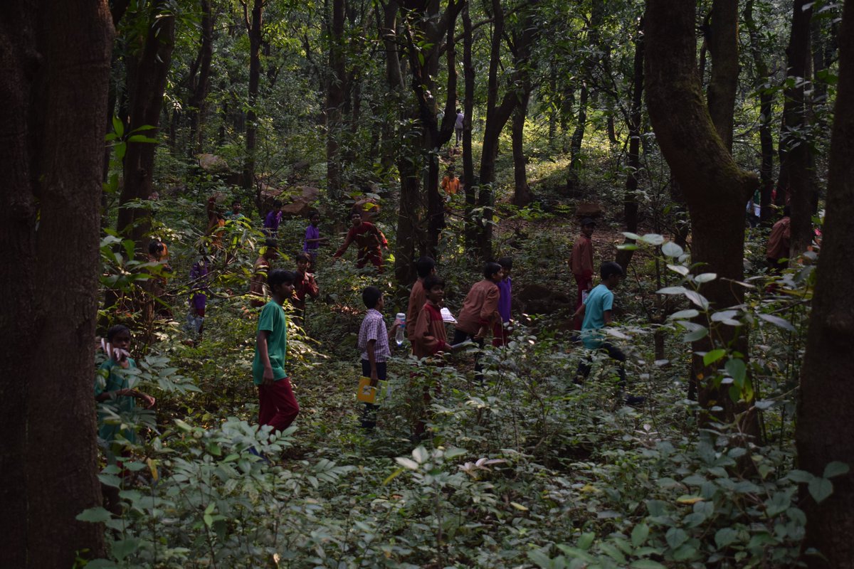 EMRS_TITVE's tweet photo. Visit to forest area nearby school as a part of field visit related science subject topic of class VIII - Conservation of plants &amp; animals.
@nests_emrs @TribalAffairsIn @PIB_MoTA @Cbse_official @ncert https://t.co/y7kjlwV2zp