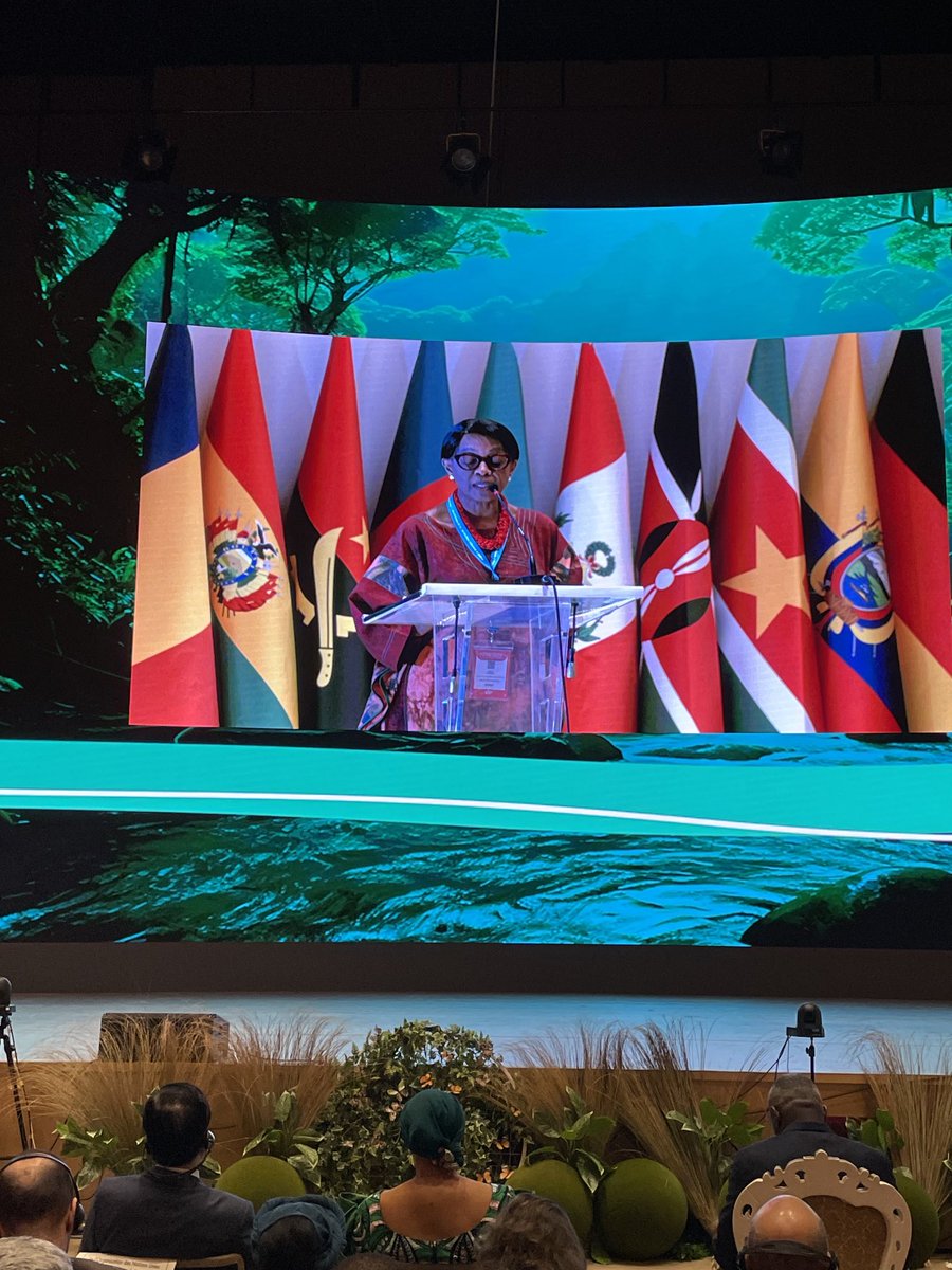 Mbayo Guy tweet media