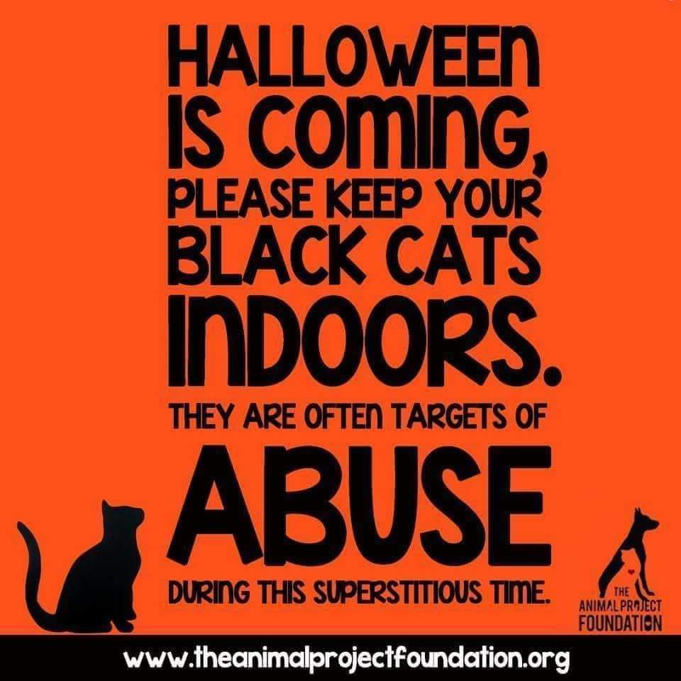 Sassy Horror (@sassyhorror) on Twitter photo 