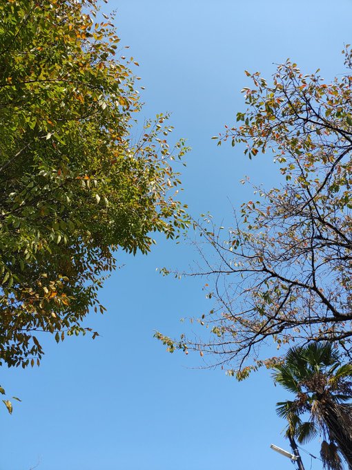 Twitterのコスプレ画像36