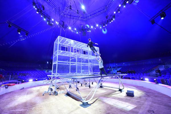 C’est le retour de la Grande Fête du #cirque à #Lille : «Trois générations de spectateurs!» vdn.lv/hb4PS5