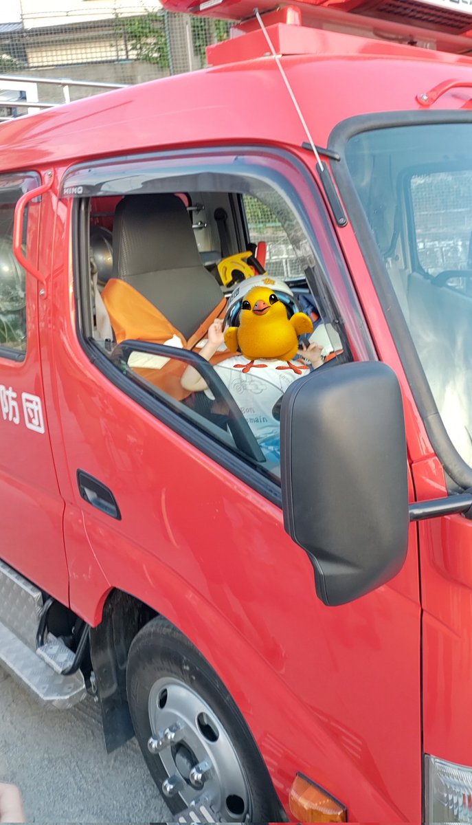 救急車や消防車(働く車が大好き)と写真が撮れて嬉しい小豆氏🐤