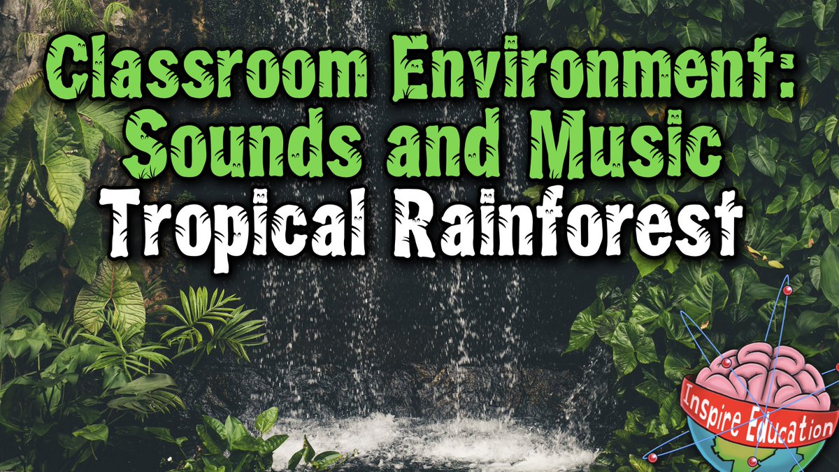 Teaching the #Rainforests this year and in need of a good classroom stimulus?  Our YouTube learning environments are guaranteed to create a perfect atmospheric classroom environment.   

With music 👉 youtu.be/xB2_yM3oxSsWith 
sounds 📷 youtu.be/buPVkqvBkNE

#ambient