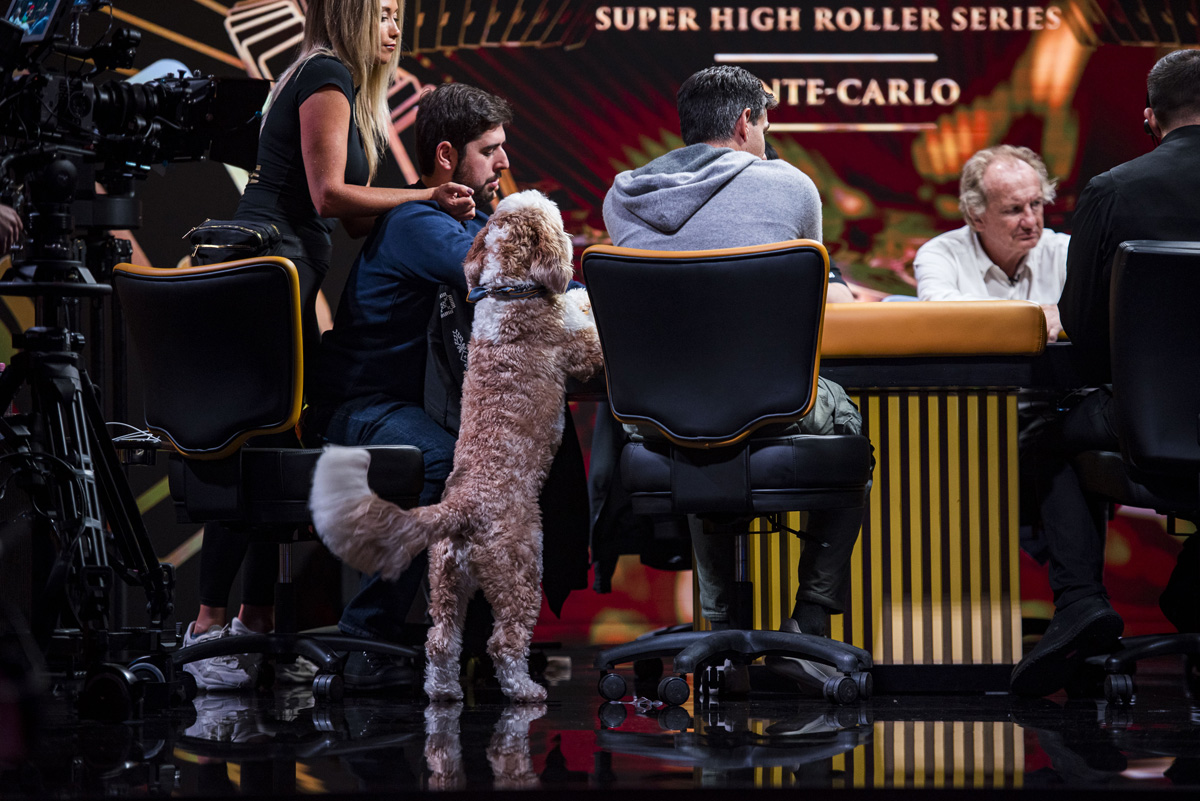 Another work assignment for my client <a href="/tritonpoker/">Triton Poker</a> in the amazing location of Monte Carlo.  Two events have been completed with Jonathan Jaffe and <a href="/DanSmithHolla/">Dan Smith</a> capturing titles.  Ten more events to go.  And the best part, the tournament series is dog-friendly.