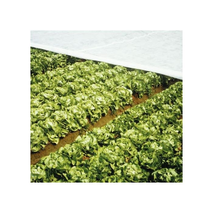 lbshorticulture's tweet photo. Frost / Protection Fleece, Strong &amp; Durable - 2m x 100m - 18gsm
PRICE: £30.11 (Inc VAT £36.13)
https://t.co/rHa8EzuapO #frost #plantprotection #winterfrost#gardening #fleece #frostfleece https://t.co/EpdgXJ0ZkZ