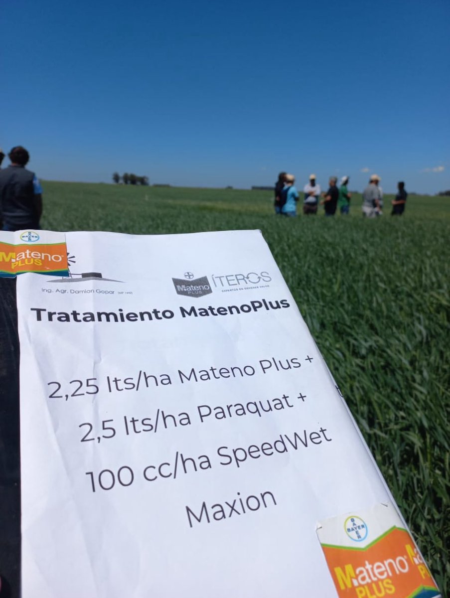 Damiantwr's tweet photo. Muy buena jornada pasamos ayer con  @AgroBayerAR presentando a productores y asesores los ensayos de #MatenoPlus…
Gracias Totales…
@Rolobidegain 
@solarroquy 
@juampiriedel https://t.co/C0RyyNE8mM