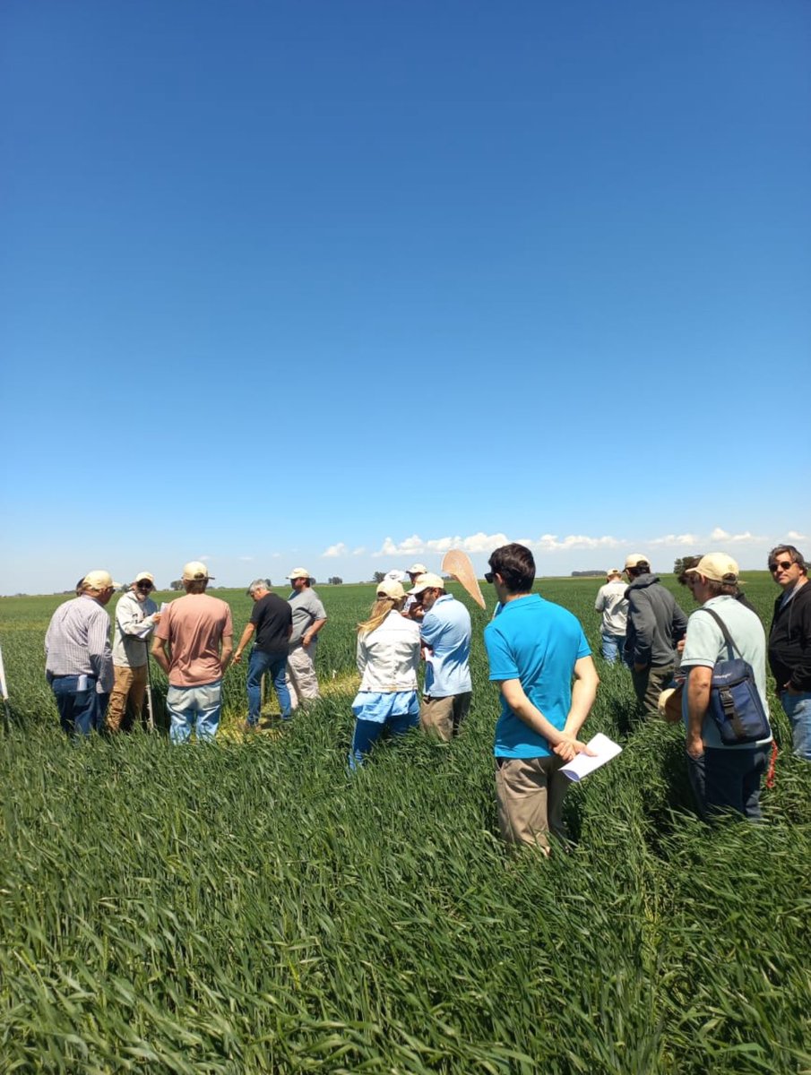 Damiantwr's tweet photo. Muy buena jornada pasamos ayer con  @AgroBayerAR presentando a productores y asesores los ensayos de #MatenoPlus…
Gracias Totales…
@Rolobidegain 
@solarroquy 
@juampiriedel https://t.co/C0RyyNE8mM