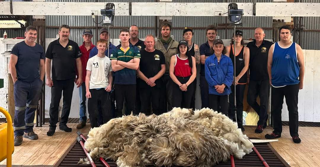 Furner introduction to shearing and woolhandling coarse hosted by @RichieKirkland2 family. @woolinnovation @meatlivestock @WoolProducers