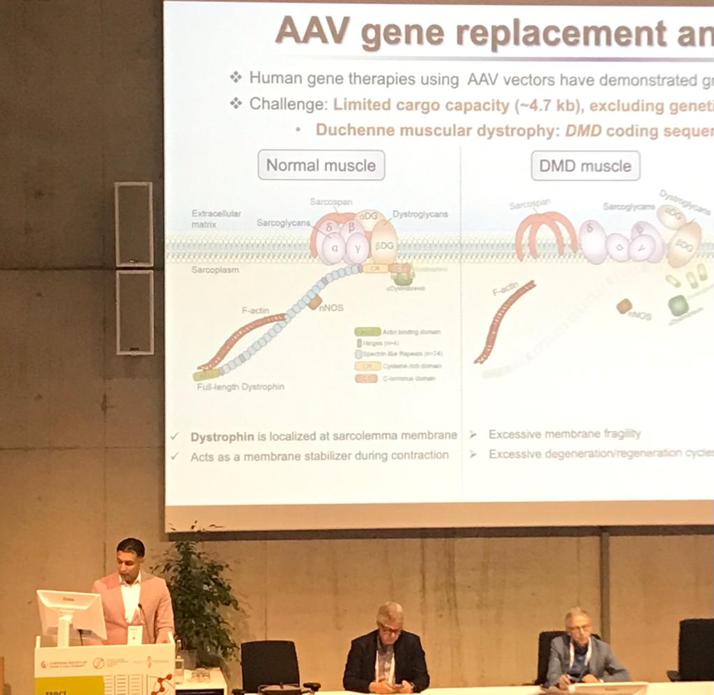 Capucine Trollet tweet media