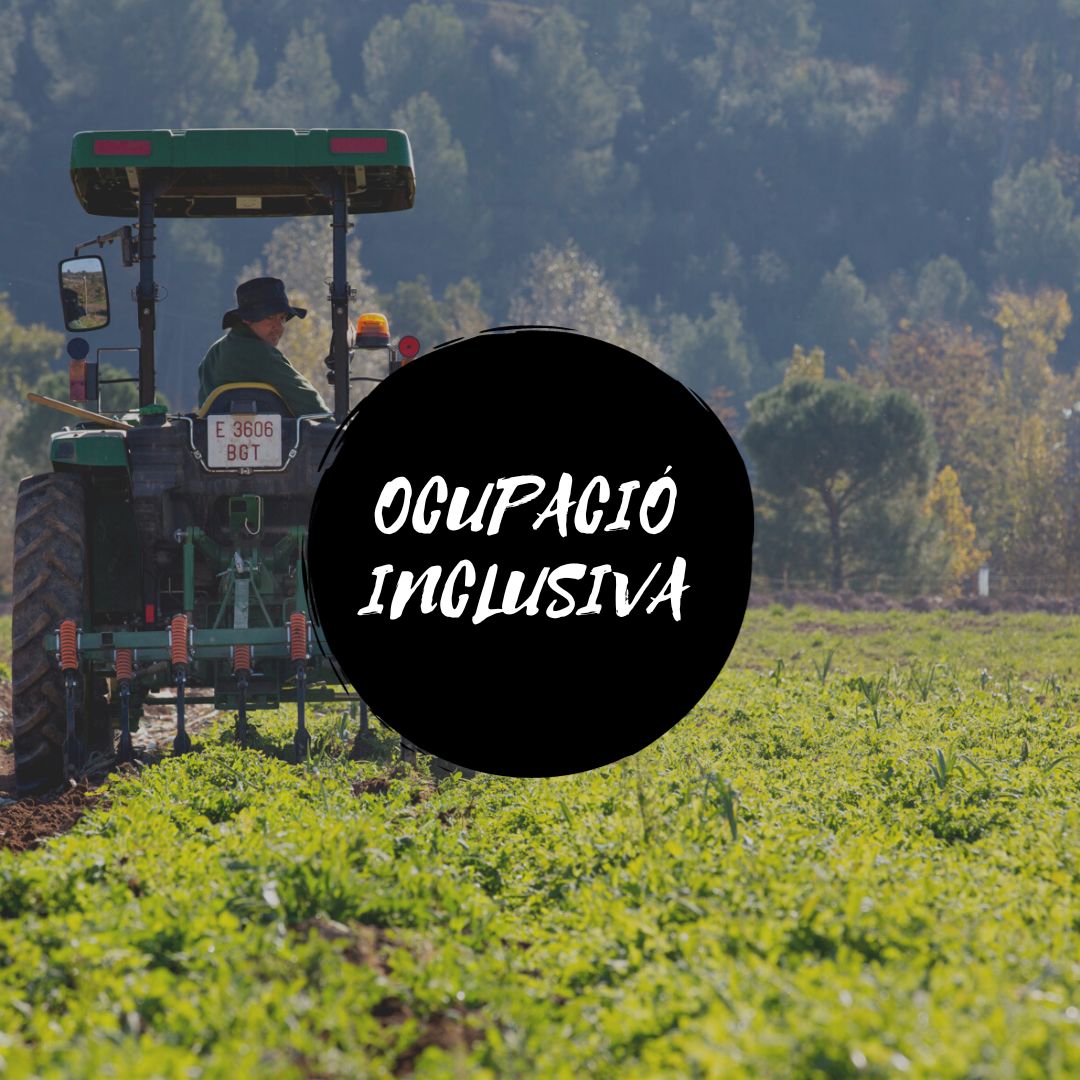MANS_Ecologic's tweet photo. Als Horts de #MónSantBenet, la @PedreraFundacio  duu a terme un projecte d'inserció sociolaboral 🧑‍🌾 per a persones en situació de vulnerabilitat. Això els proporciona l'oportunitat de millorar les seves condicions de vida i accedir a un millor futur 🔜
👉https://t.co/u63VfzxDw6 https://t.co/GxvV2aLR5h