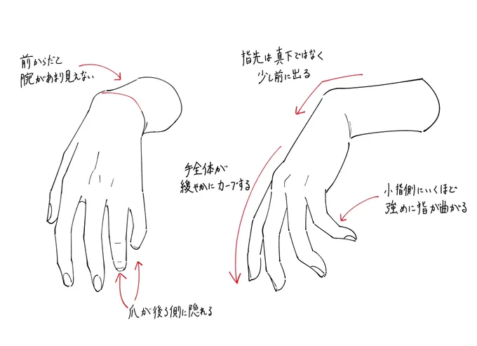 ハロウィン絵に使えるかもしれない、ダランとした手を描くときのポイントメモです。