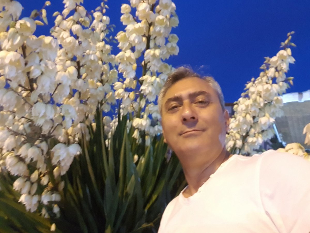 Yalan Dünya'da gerçek olan bir hoş seda imiş.
Tüm dostlara HAYIRLI CUMALAR..