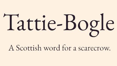 Cian McCarthy tweet media