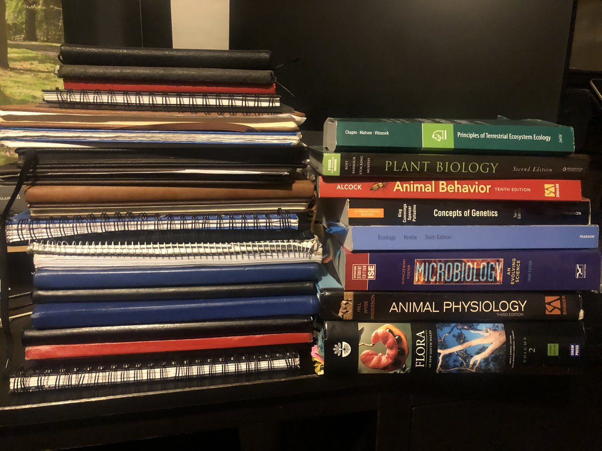 Katie Rolls tweet media