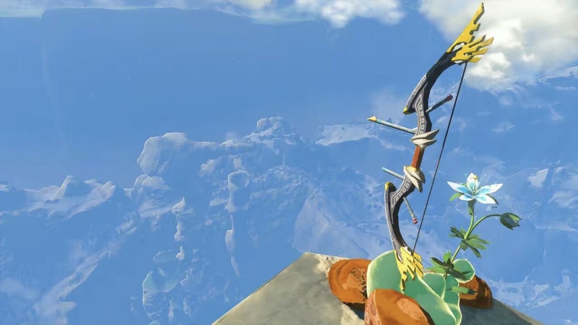 saw these on tiktok and cried #BOTW #Zelda