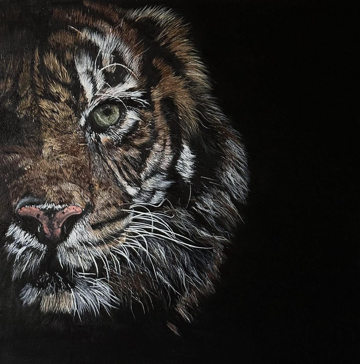 Kiara…acrylics on canvas 60x60 cm ,took a while …Wish you all lovely day ❤️

#paintings #acrylicarts #tigerartwork #realisticpainting #realisticart #paintinganimals #wildlifeartist