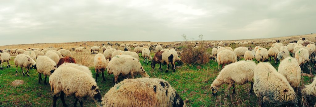 Rıdvan (@rdvan_63) on Twitter photo 