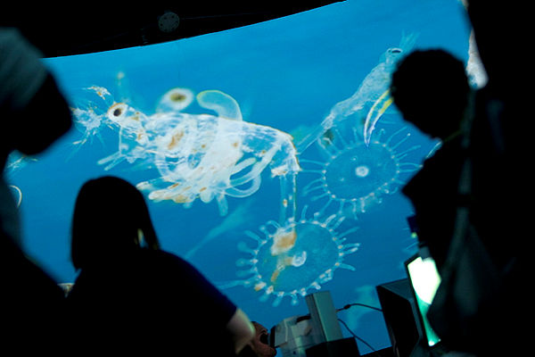 TheAIPlym's tweet photo. Introducing our fourth challenge owner, Tom Mansfield, a Data Systems Architect @PlymouthMarine
💡 The Idea:
Plank-tonnes of fun; gamifying plankton data to increase ocean literacy in non-scientific communities https://t.co/UiszwOLRLS