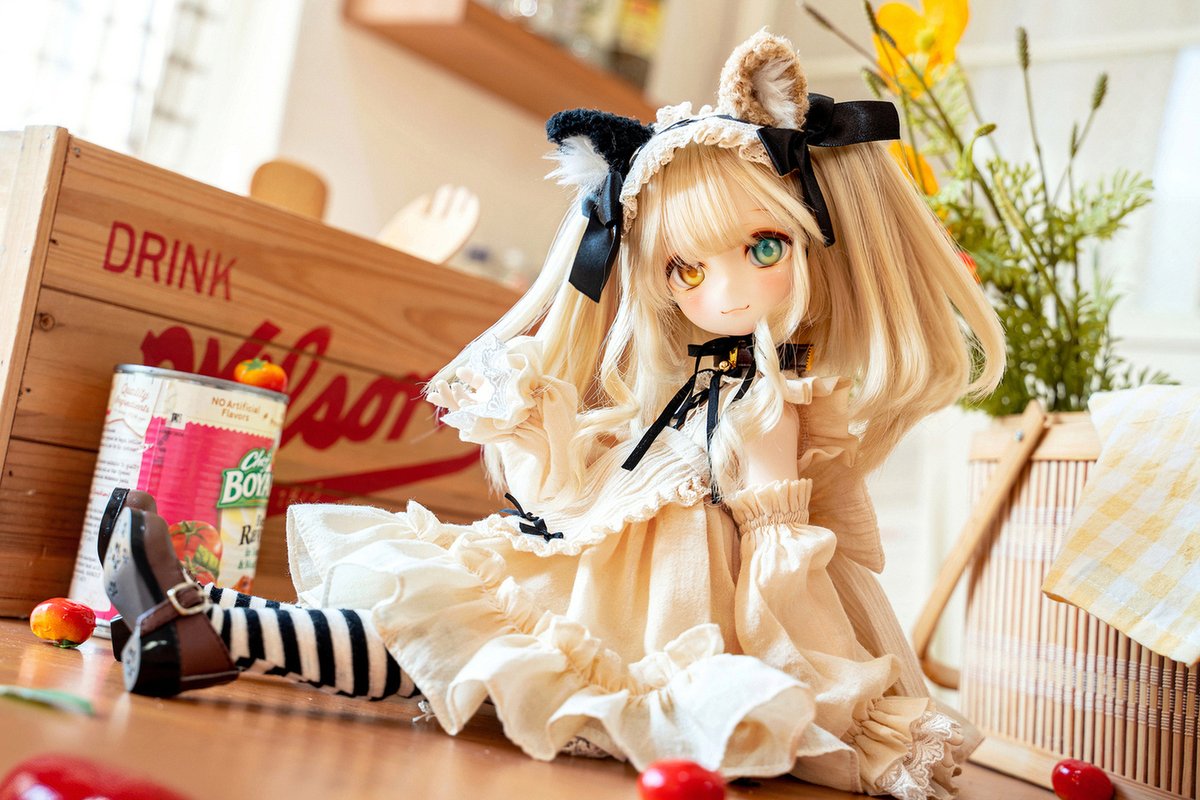 DOLK×MYOU DOLL】?40体限定? 『Sandra 三毛猫Limited』ご要望多数 