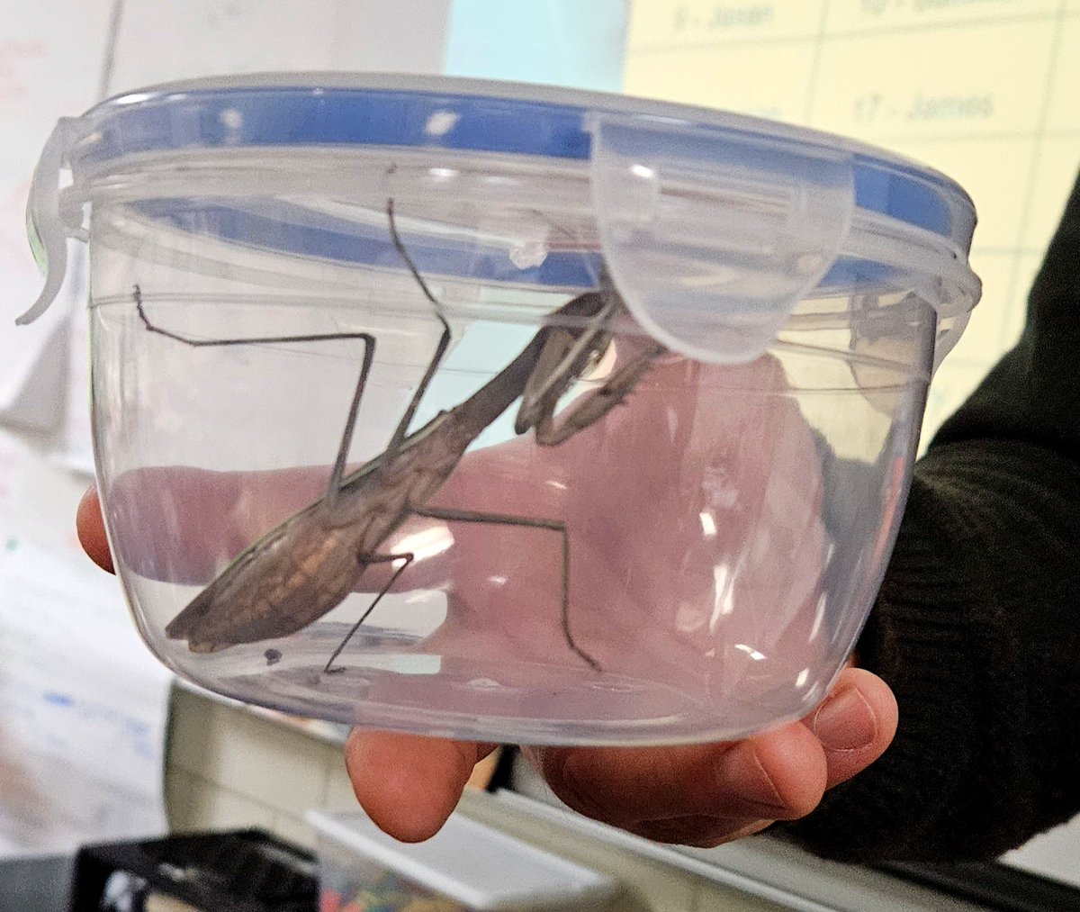 A. Swinehart tweet media