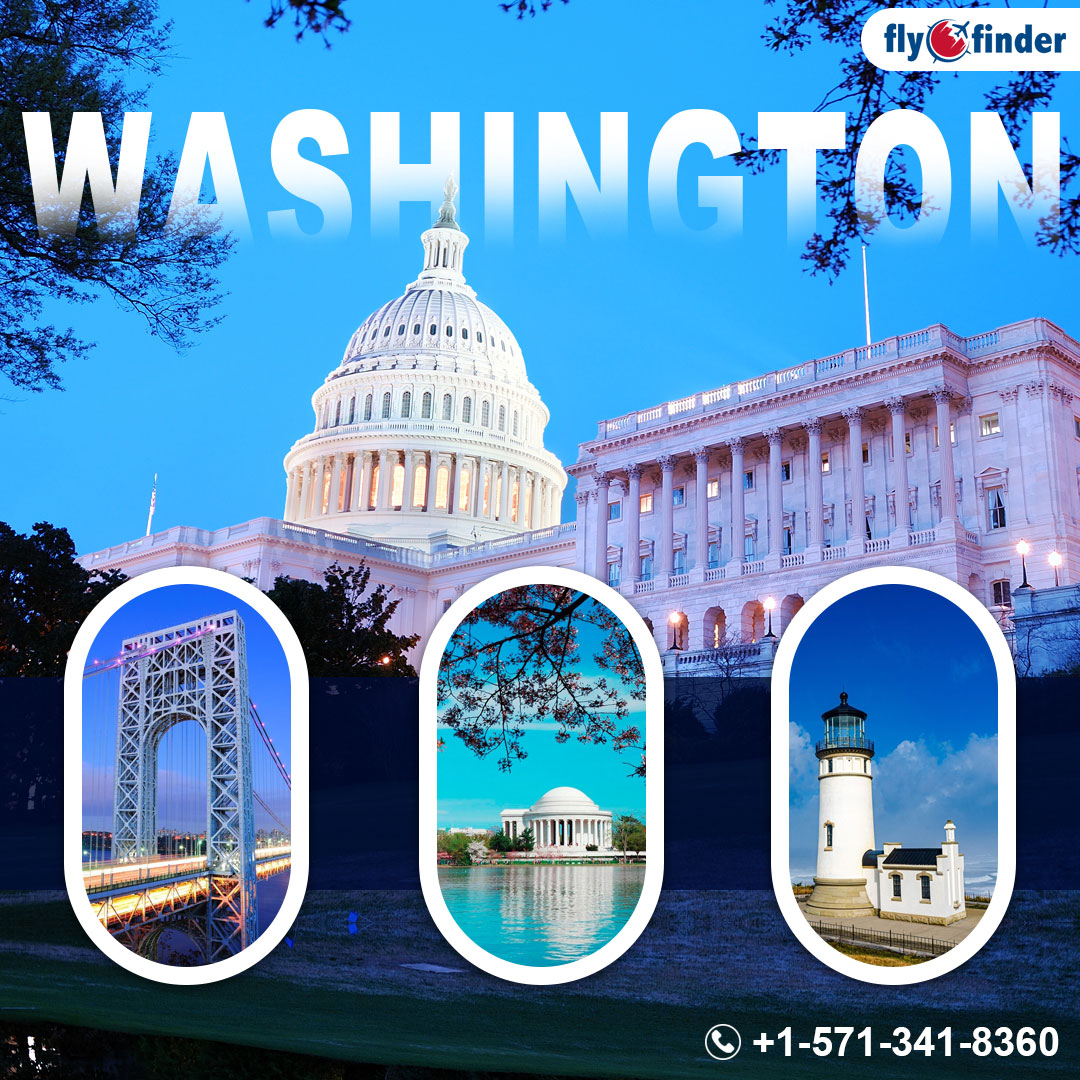 From mountains to coastlines, Washington's beauty knows no bounds. 🗻🌊 
Read more: bitly.ws/YFPq
📞 +1-571-341-8360 to book lowest airfares to D.C.

#flyofinder #washington #washingtondc #washingtonstate #washingtonexplored #washingtondctrip #flight #flights #travel