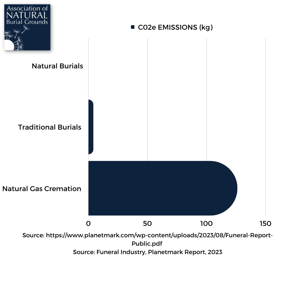According to a recent study by Planetmark, Natural gas cremations produce the highest CO₂e emissions compared to traditional and natural burial. 
To read more about this interesting subject please visit planetmark.com/wp-content/upl…
#greenfuneral #ecoburial #naturalburial
