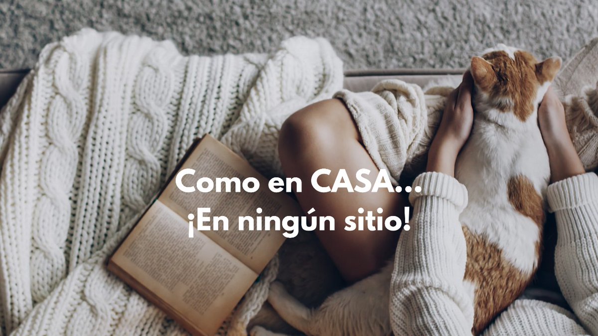 Iotecta's tweet photo. Cuando llegan las lluvias, apetece quedarse en casa.
Si activas el modo “lluvia” el sistema se encargue de:
-Recoger los toldos.
-Bajar las persianas.
-Activar la alarma perimetral.
-Y bajar la intensidad de la luz. https://t.co/R80ZJIJLqZ