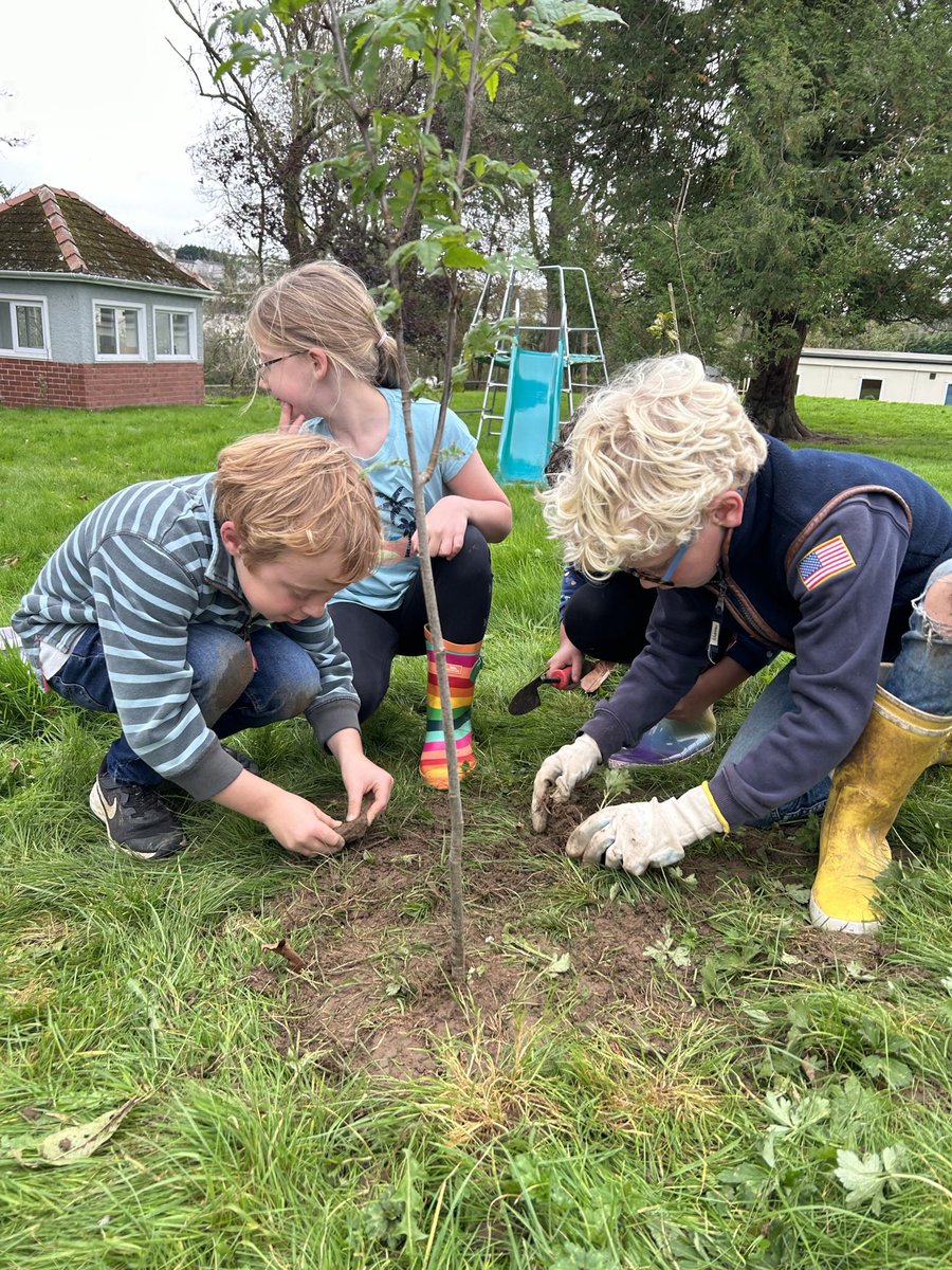 PrepRedhill's tweet image. Children learning from and in nature. We put sustainability at the heart of our curriculum. 🌱 Working in partnership with @HarmonyOrgUK