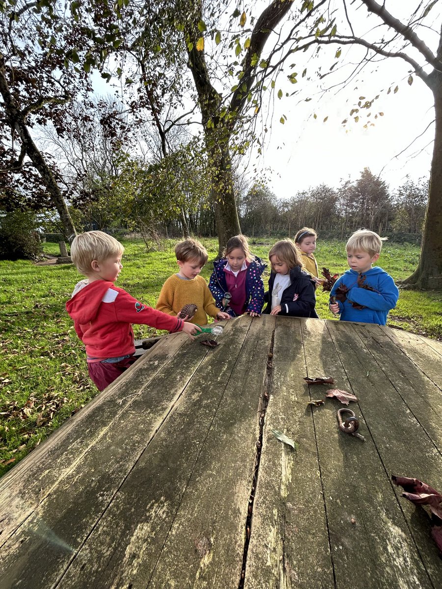 PrepRedhill's tweet image. Children learning from and in nature. We put sustainability at the heart of our curriculum. 🌱 Working in partnership with @HarmonyOrgUK