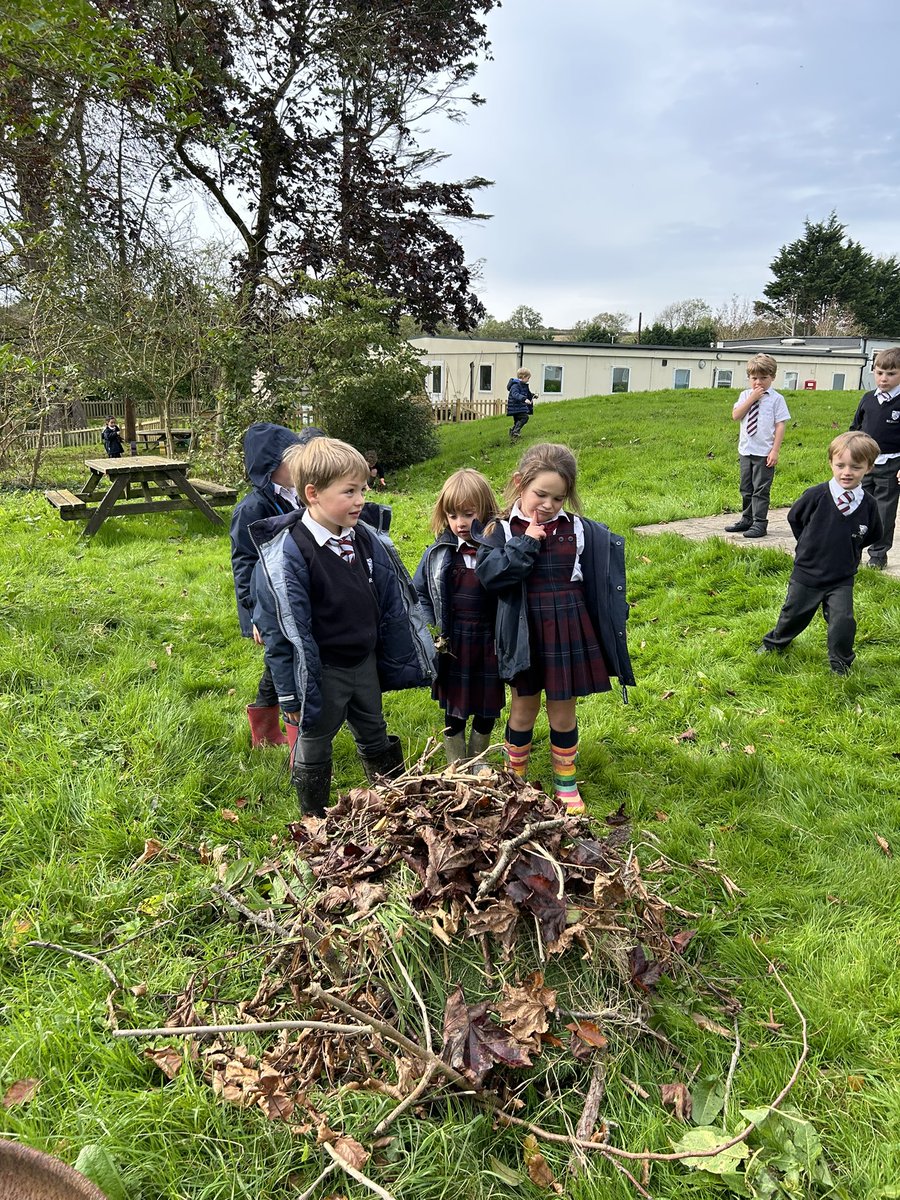 PrepRedhill's tweet image. Children learning from and in nature. We put sustainability at the heart of our curriculum. 🌱 Working in partnership with @HarmonyOrgUK