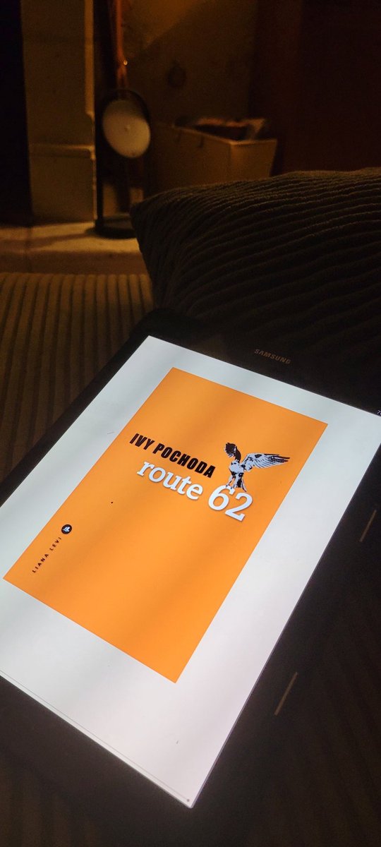 Passionnant mais déroutant !

#roman #littéraire <a href="/EditionsLevi/">Éditions Liana Levi</a> <a href="/VendrediLecture/">VendrediLecture</a>