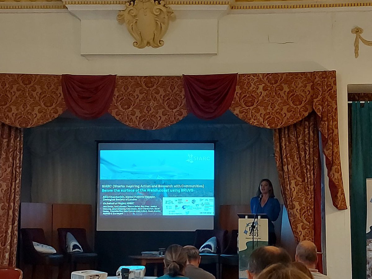 Alice Chamberlain tweet media